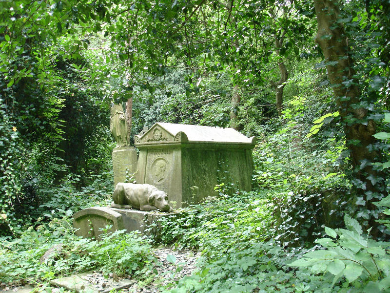 Необычные экскурсии по кладбищам (13)