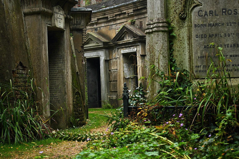 Необычные экскурсии по кладбищам (8)