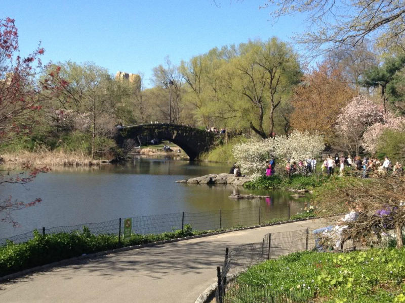 Весна в центральном парке Нью-Йорка (4)