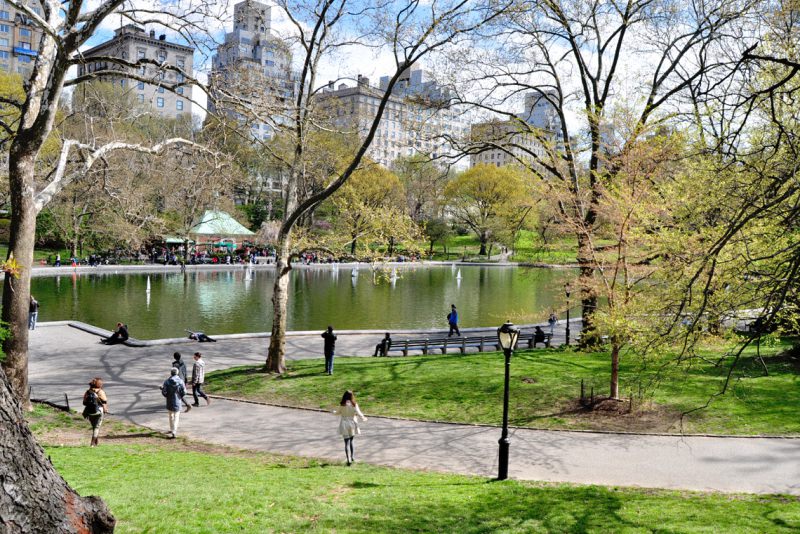 Весна в центральном парке Нью-Йорка (10)