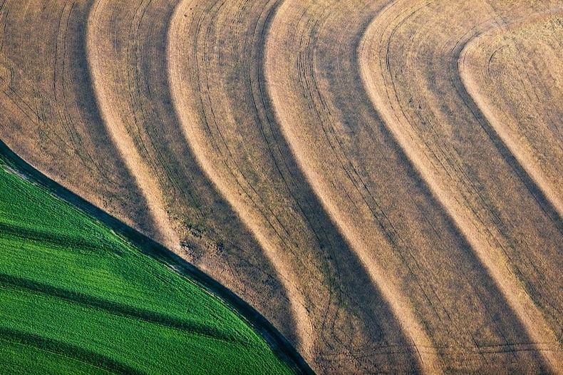 Воздушные фотографии сельскохозяйственных угодий (14)