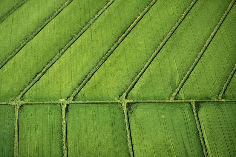 Воздушные фотографии сельскохозяйственных угодий (19)
