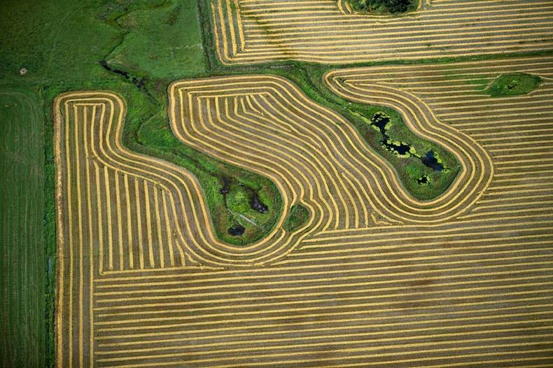 Воздушные фотографии сельскохозяйственных угодий (20)